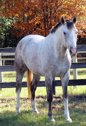 Gracie, Nov 2009